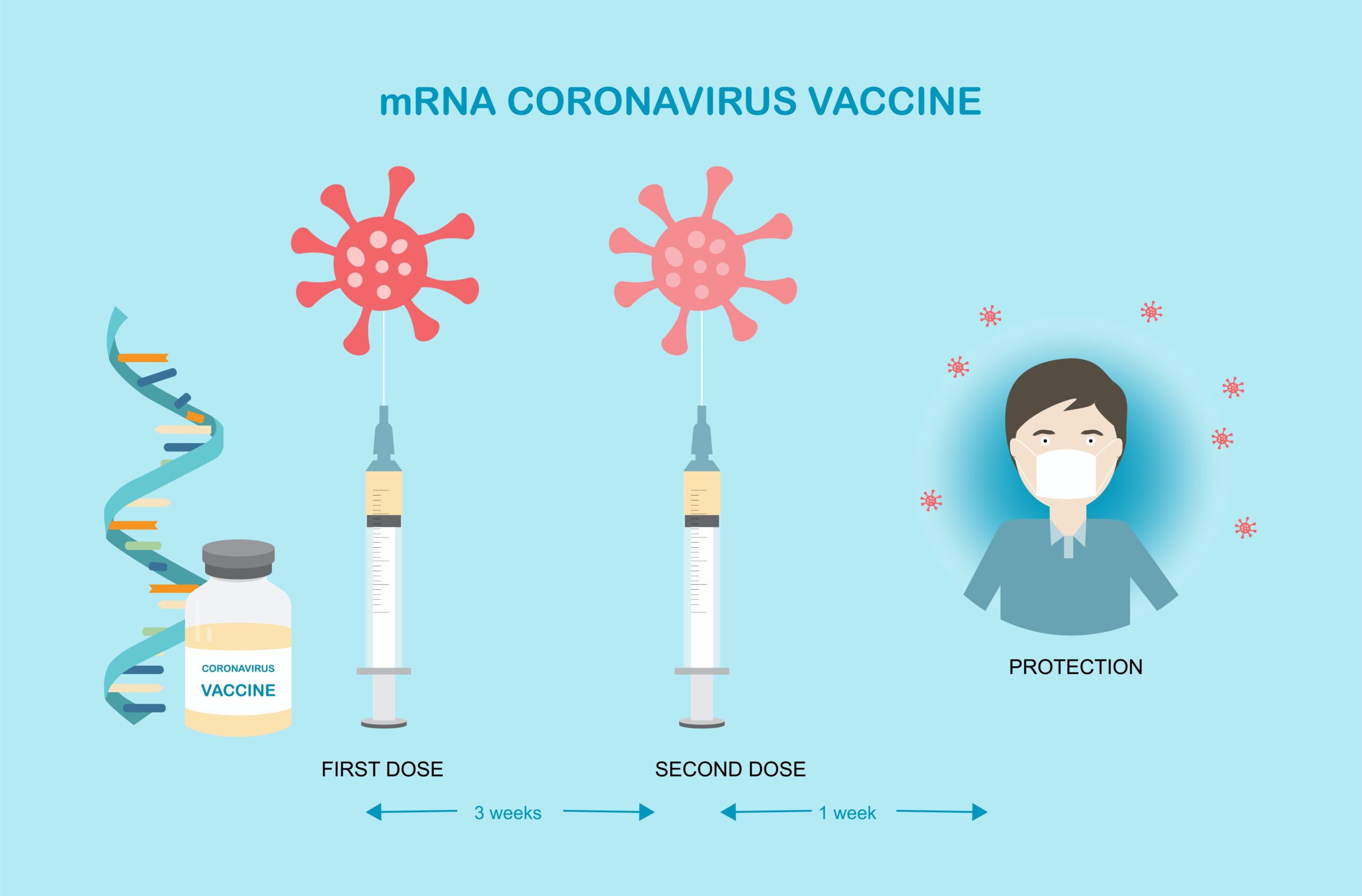 More on the Vaccination Issue - Defence of the Truth