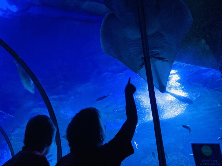 In the Reformed School, God’s Word is to govern every subject and teacher